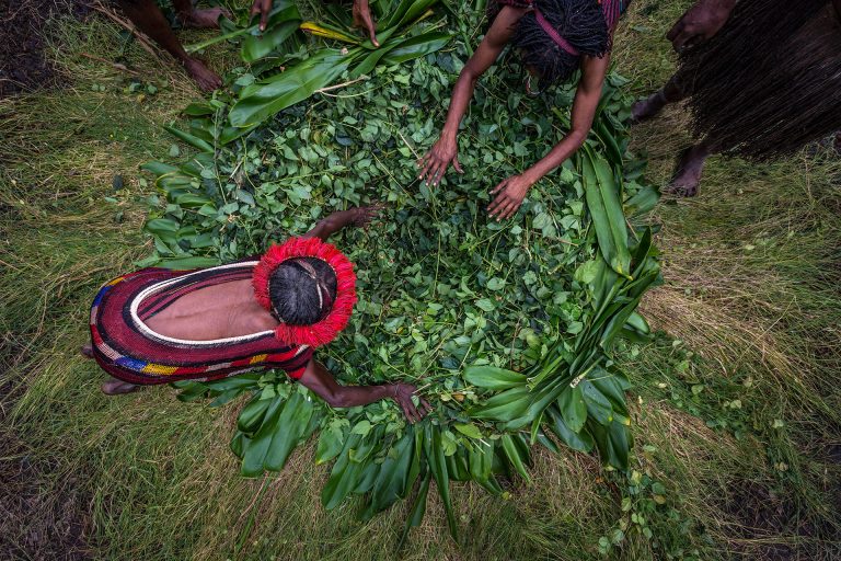West-Papua-Dani-women-and-earth-oven
